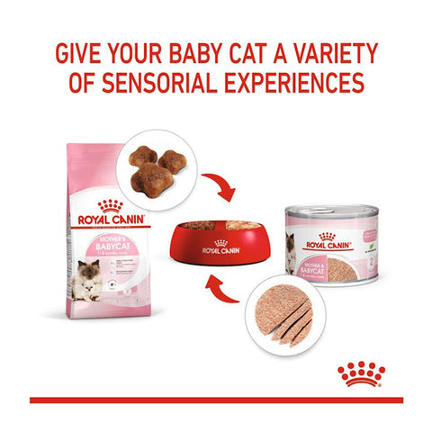 Royal Canin Mother & Babycat Wet Cat Food