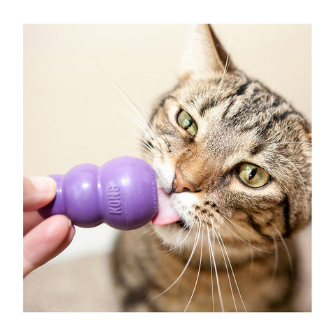KONG Kitty Kong Cat Toy