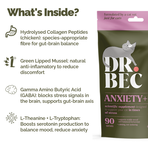 Dr Bec Anxiety + Health Support Veterinary Formulated Cat Supplement 60g