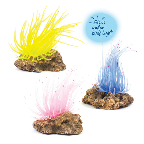 Kazoo Soft Grass Coral with Rock Assorted Fish Tank Ornament