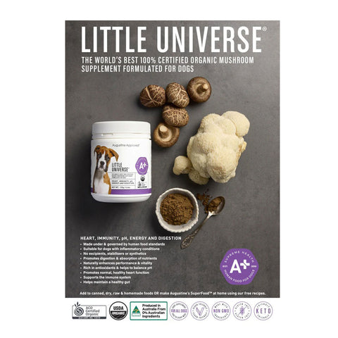 Augustine Approved Little Universe Canine