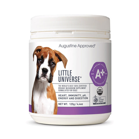 Augustine Approved Little Universe Canine