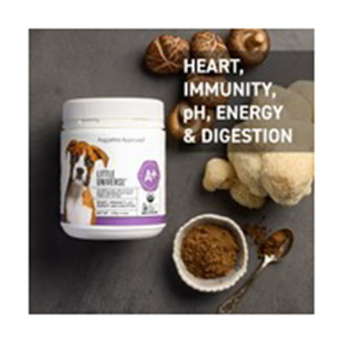 Augustine Approved Little Universe Canine