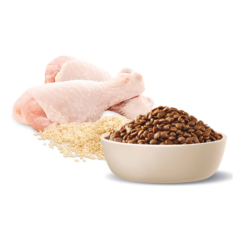 Advance Healthy Ageing 8+ Chicken & Rice Adult Dry Cat Food 2kg