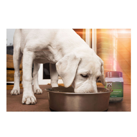 Meals for Mutts Green Tripe Powder Meal Topper For Dogs 180g