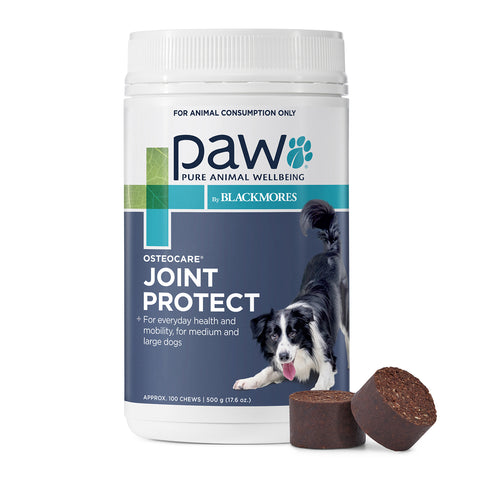 PAW Osteocare Joint Protect Medium & Large Dog Chews 500g 100pk
