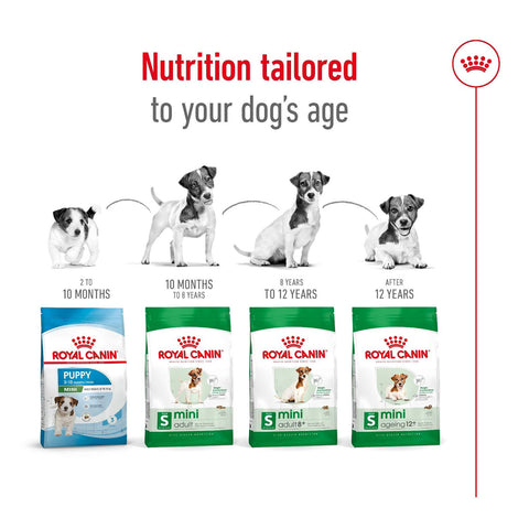 Royal Canin Mini Adult 8+ Dry Dog Food 2kg