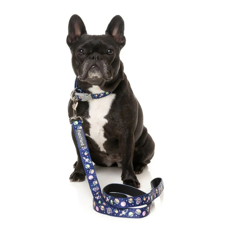 FuzzYard Pluto Pup Dog Lead