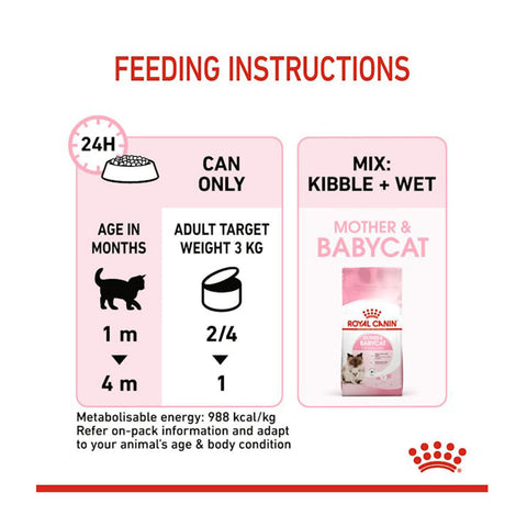 Royal Canin Mother & Babycat Wet Cat Food