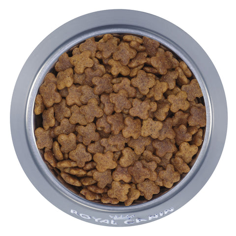 Royal Canin Mini Adult 8+ Dry Dog Food 2kg