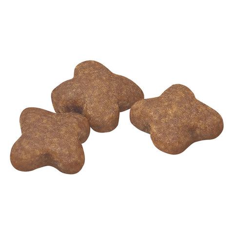 Royal Canin Mini Adult 8+ Dry Dog Food 2kg