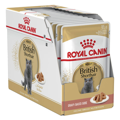 Royal Canin British Shorthair Gravy Adult Wet Cat Food Pouches