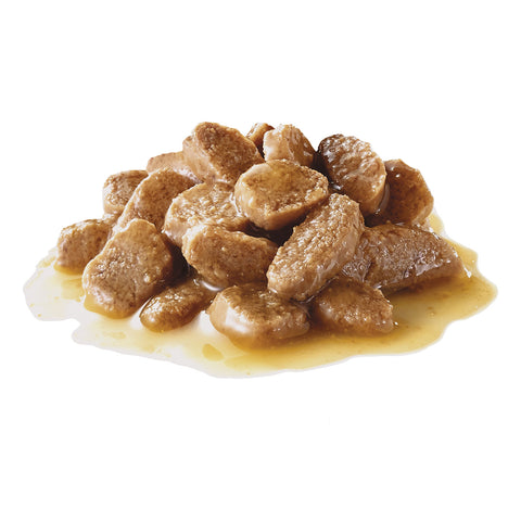Royal Canin Mini Ageing 12+ Wet Dog Food