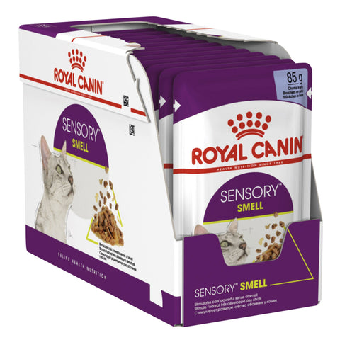 Royal Canin Sensory Smell Jelly Adult Wet Cat Food Pouches