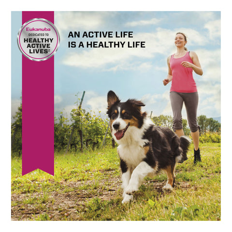 Eukanuba Small Breed Senior Dry Dog Food