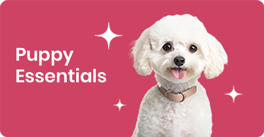 Puppy Essentials