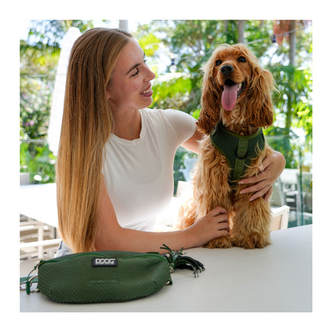 DOOG Neosport Dog Harness Green