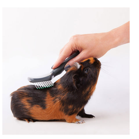 Kazoo Slicker Brush for Small Animals