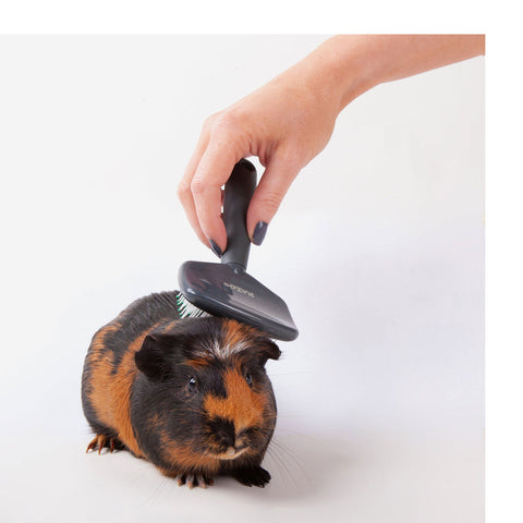 Kazoo Slicker Brush for Small Animals