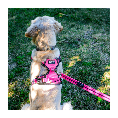DOOG Neotech Dog Harness Lady