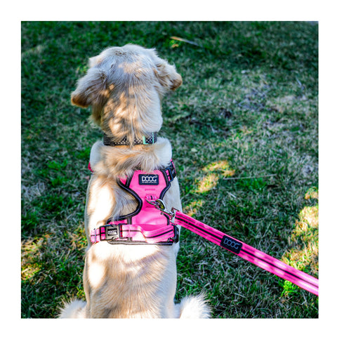 DOOG Neoprene Dog Lead Lady