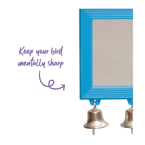 Kazoo Rectangular Mirror with Bell Bird Toy