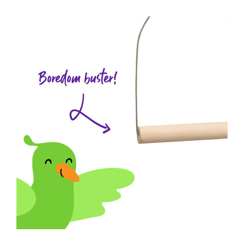 Kazoo Wooden D Swing Bird Toy Medium