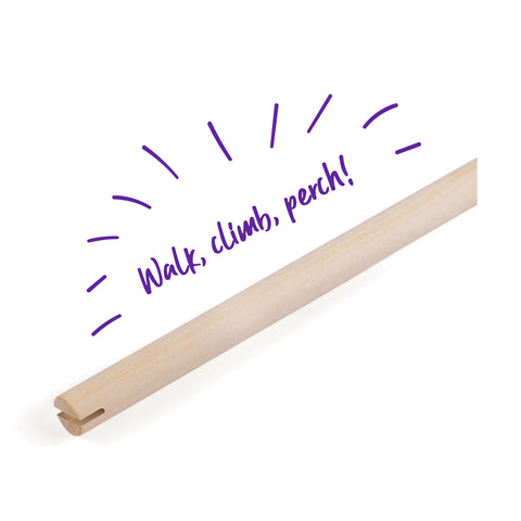 Kazoo Wooden Bird Perch