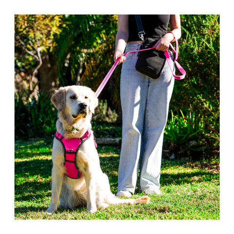 DOOG Neoprene Dog Lead Lady