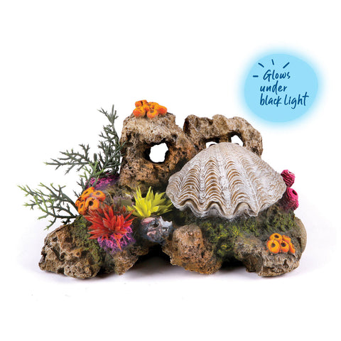 Kazoo Action Clam with Coral & Plants Fish Tank Ornament
