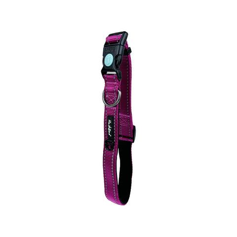 Huskimo Trekpro Dog Collar Aurora