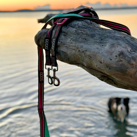 DOOG Dual Walker Leash