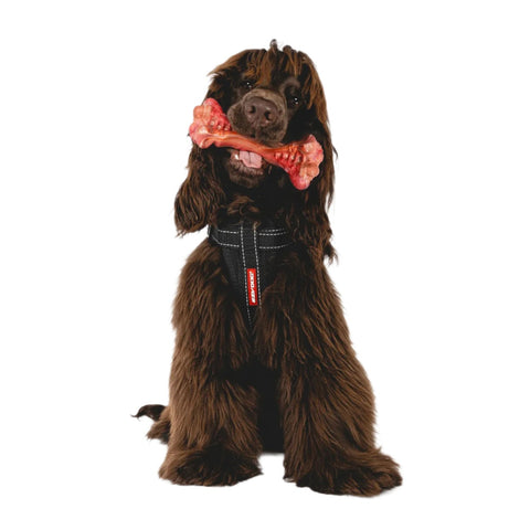 EzyDog EzyBones Chew Toy