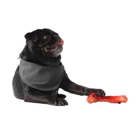 EzyDog EzyBones Chew Toy