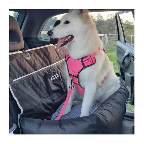 DOOG Car Seat