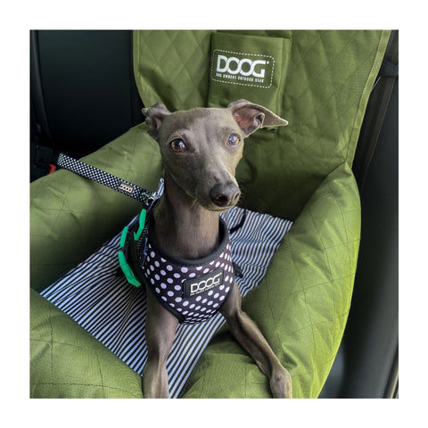 DOOG Car Seat