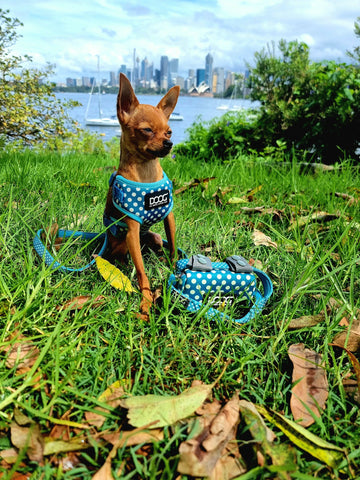 DOOG Neoflex Dog Harness Snoopy