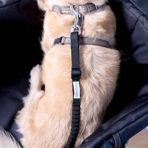 Ibiyaya Bungee Leash Extension / Stroller Tether Black
