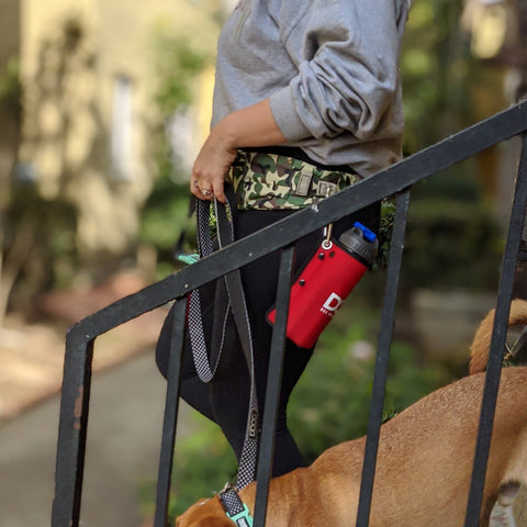 DOOG Walkie Belt