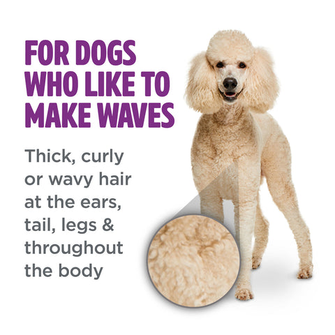 Tropiclean PerfectFur Curly & Wavy Coat Shampoo for Dogs 473ml