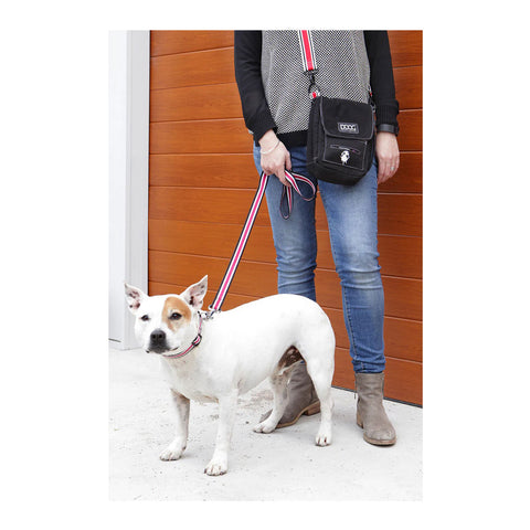 DOOG Walkie Bag