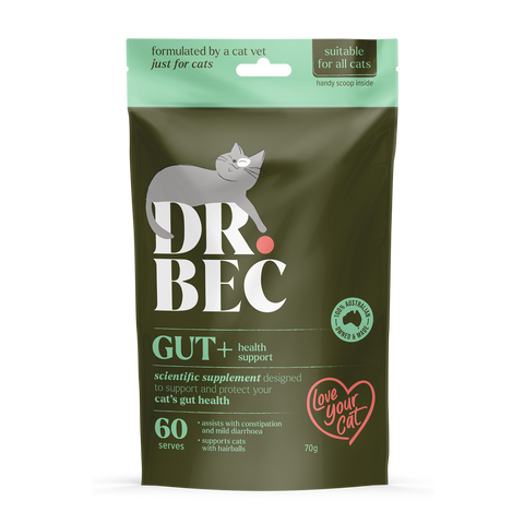 Dr Bec Gut + Health Support Veterinary Formulated Cat Supplement 70g