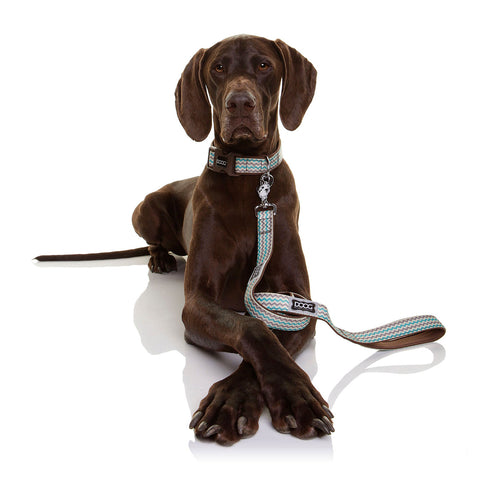 DOOG Neoprene Dog Lead Benji