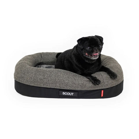 EzyDog 2 in 1 Ortho Calm Elite Bed Charcoal / Black