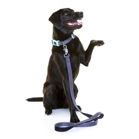 DOOG Neoprene Dog Collar Pongo