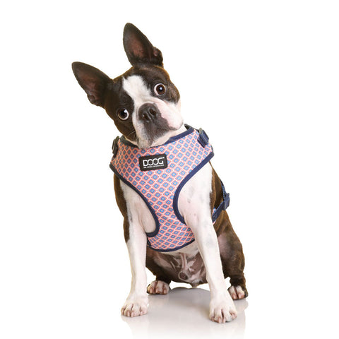 DOOG Neoflex Dog Harness Gromit