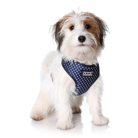 DOOG Neoflex Dog Harness Stella