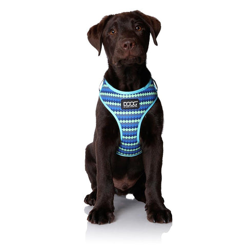 DOOG Neoflex Dog Harness Pluto