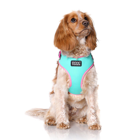DOOG Neoflex Dog Harness Rin Tin Tin