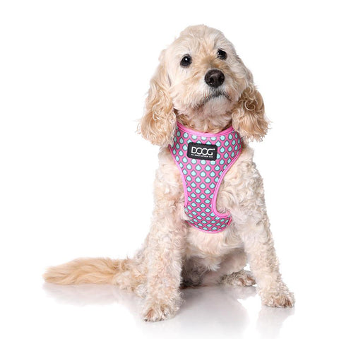 DOOG Neoflex Dog Harness Luna